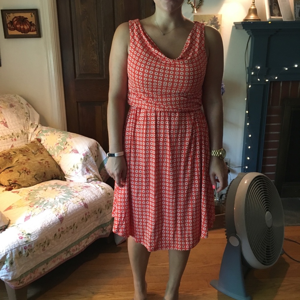 Anthropologie Dress. New with tags.